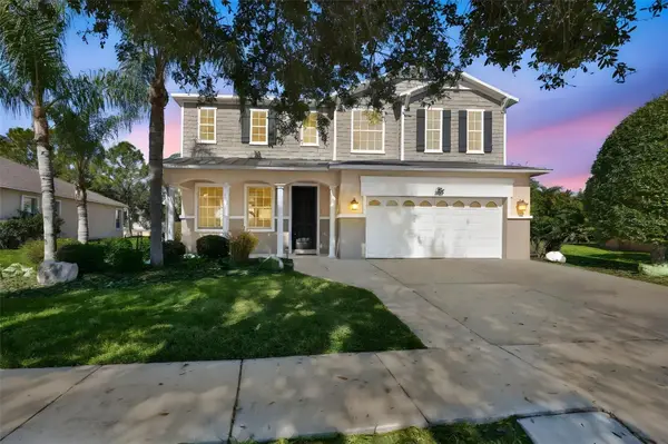 5412 Hammock View Lane, APOLLO BEACH, FL 33572