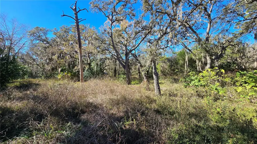 15609 Becky Lane, Hudson, FL 34667 - Image #2