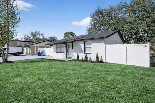 10111 Pine Trails Court, TAMPA, FL 33615