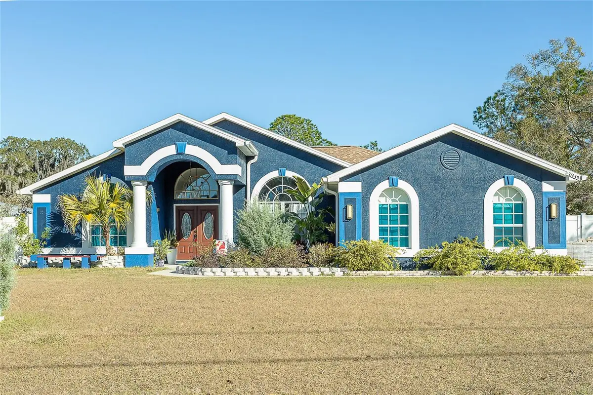 31439 Stirrup Lane, Wesley Chapel, FL 33543 - Image #1