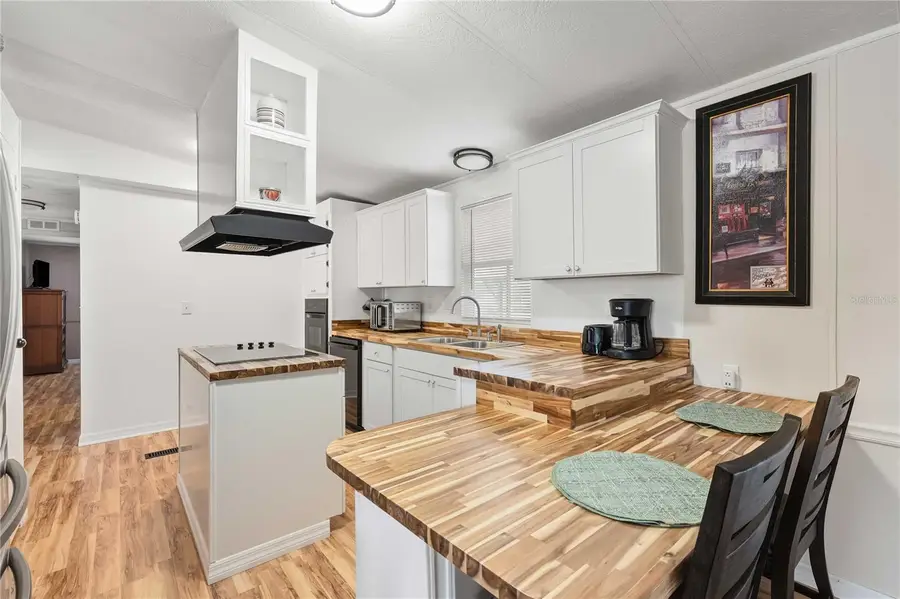 3125 Briar Street, Wesley Chapel, FL 33543 - Image #3