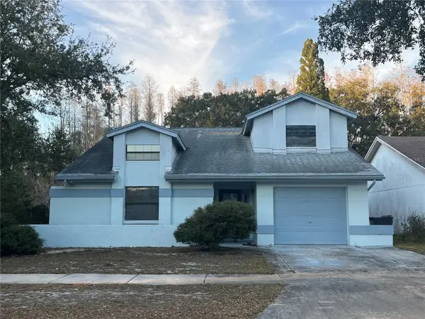 11230 Elmfield Drive, TAMPA, FL 33625