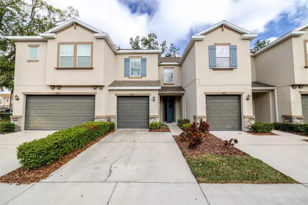 6625 Citrus Creek Lane, TAMPA, FL 33625