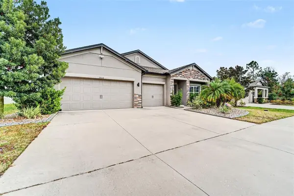 18016 Cortes Creek Boulevard, SPRING HILL, FL 34610