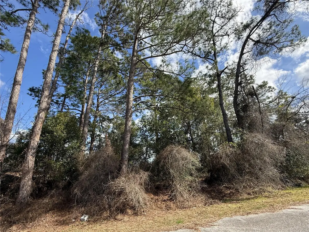 TBD Se 190th Avenue, Silver Springs, FL 34488 - #1