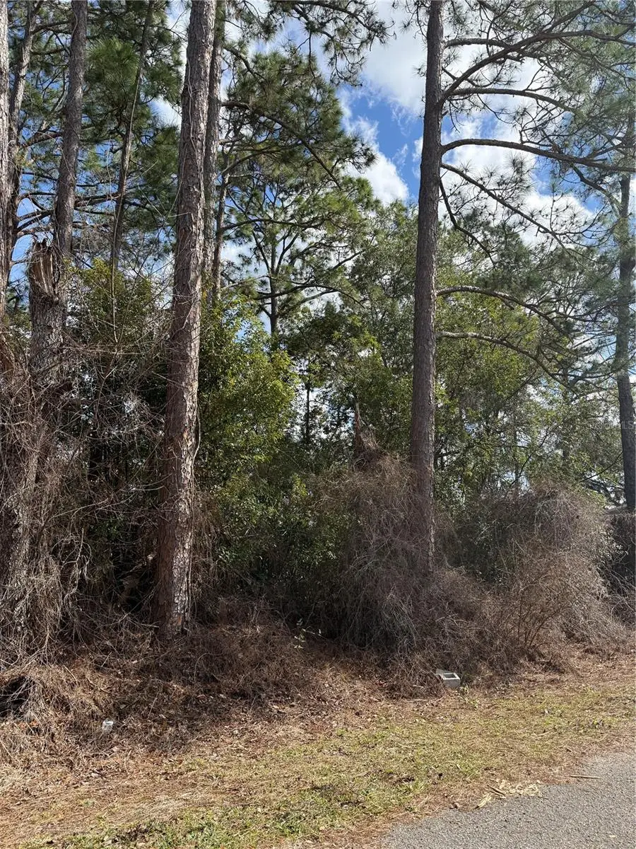 TBD Se 190th Avenue, Silver Springs, FL 34488 - #2