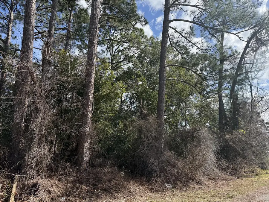 TBD Se 190th Avenue, Silver Springs, FL 34488 - #3