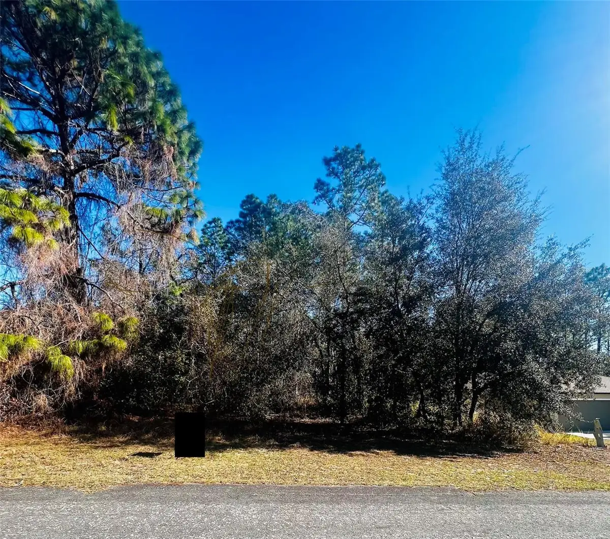 8039 N Creek Way, Citrus Springs, FL 34434 - Image #1