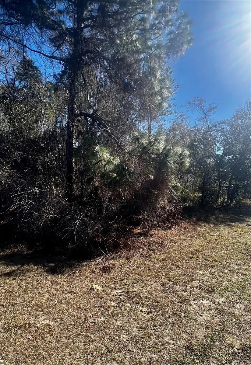 8039 N Creek Way, Citrus Springs, FL 34434 - Image #3