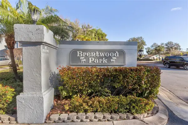 4138 Brentwood Park Circle, TAMPA, FL 33624