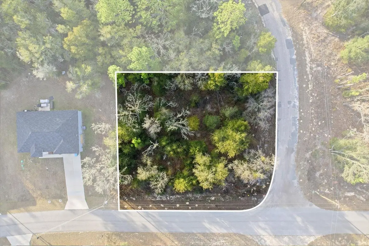 10953 N Ocean Drive, Citrus Springs, FL 34434 - Image #1