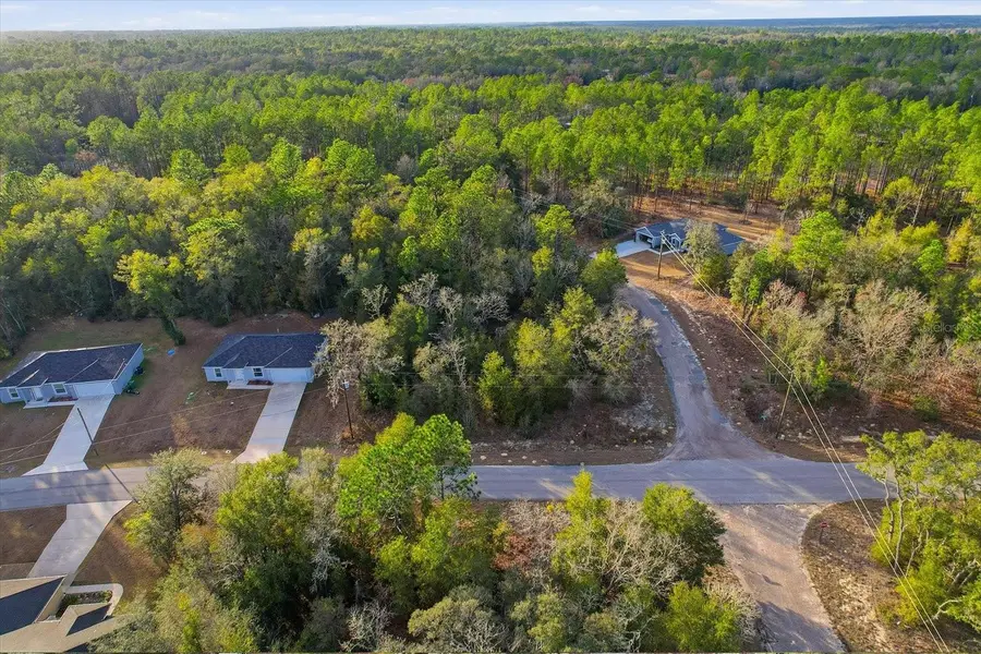 10925 N Ocean Drive, Citrus Springs, FL 34434 - Image #3