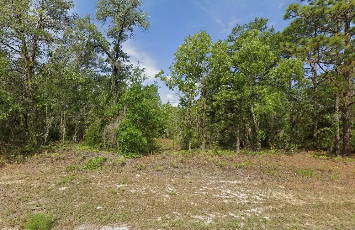 6502 N Matheson Drive, Citrus Springs, FL 34434 - Image #1