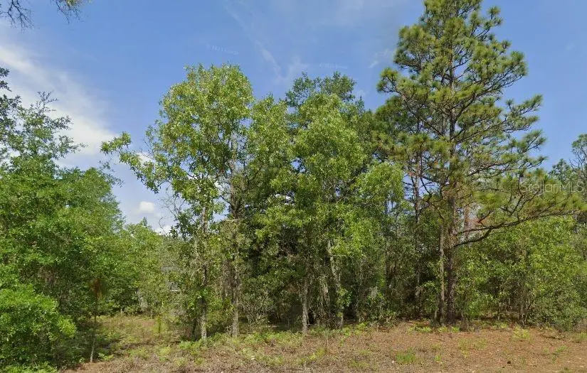 6502 N Matheson Drive, Citrus Springs, FL 34434 - Image #3