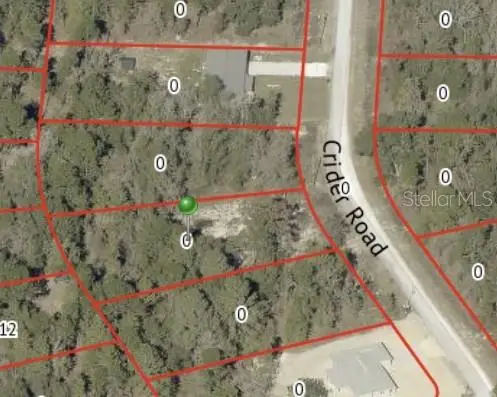 16221 Crider Road, Brooksville, FL 34614 - Image #2