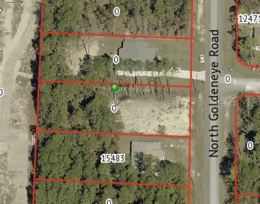 15493 Penn State Road, Weeki Wachee, FL 34614 - Image #2