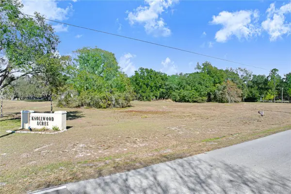 32505 Greenwood Loop, WESLEY CHAPEL, FL 33545