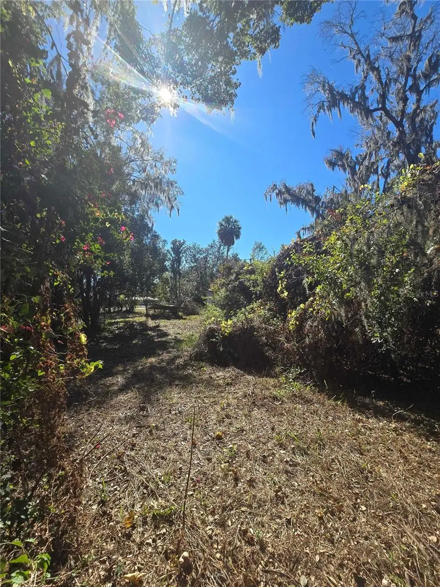 2406 E Newsome Rd, Plant City, FL 33565 - Image #3