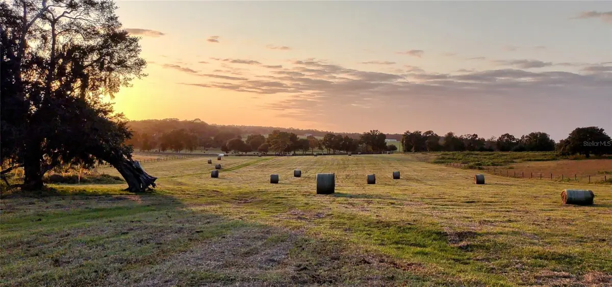 0 S Pleasant Grove Road, Inverness, FL 34452 - Image #1