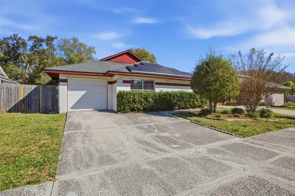 5903 Birchwood Drive, TAMPA, FL 33625