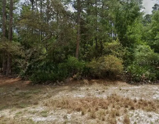 131 Edgemere Drive, Georgetown, FL 32139 - Image #1