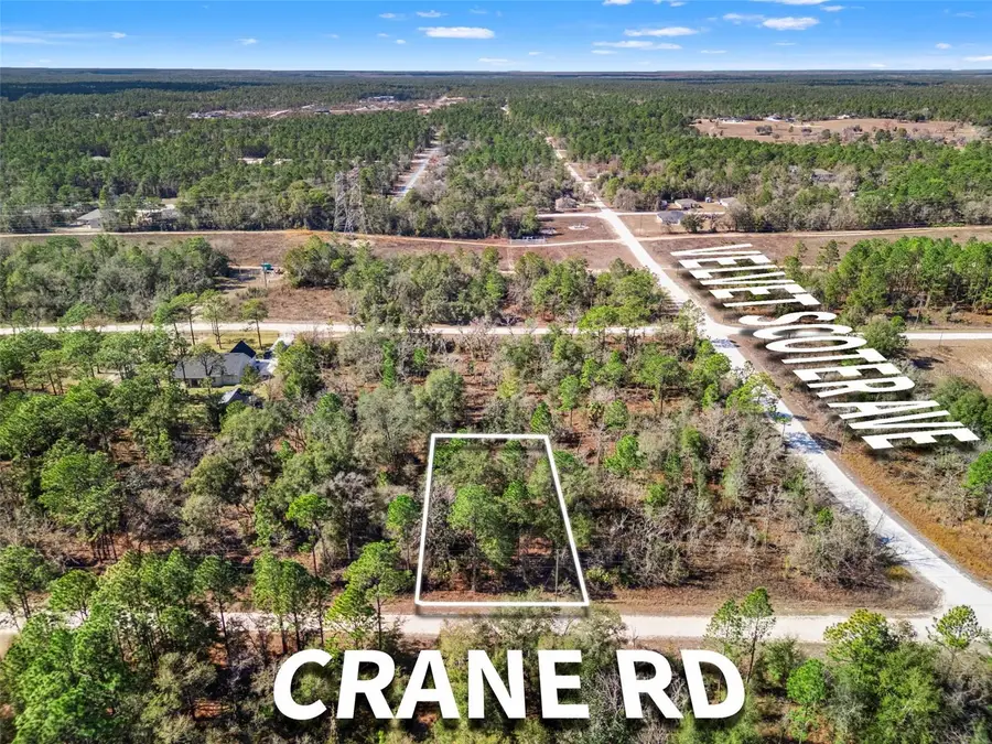 16275 Crane Road, Weeki Wachee, FL 34614 - Image #2