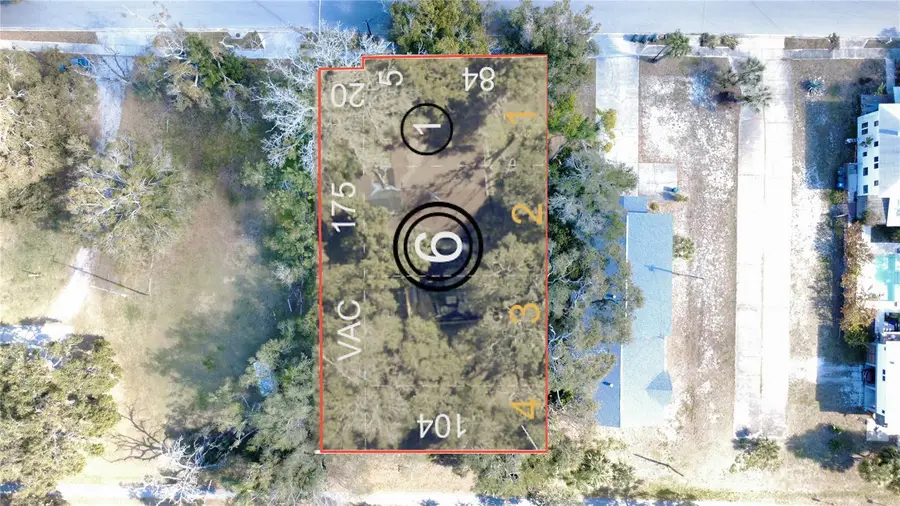 1136 Douglas Avenue, Dunedin, FL 34698 - Image #3