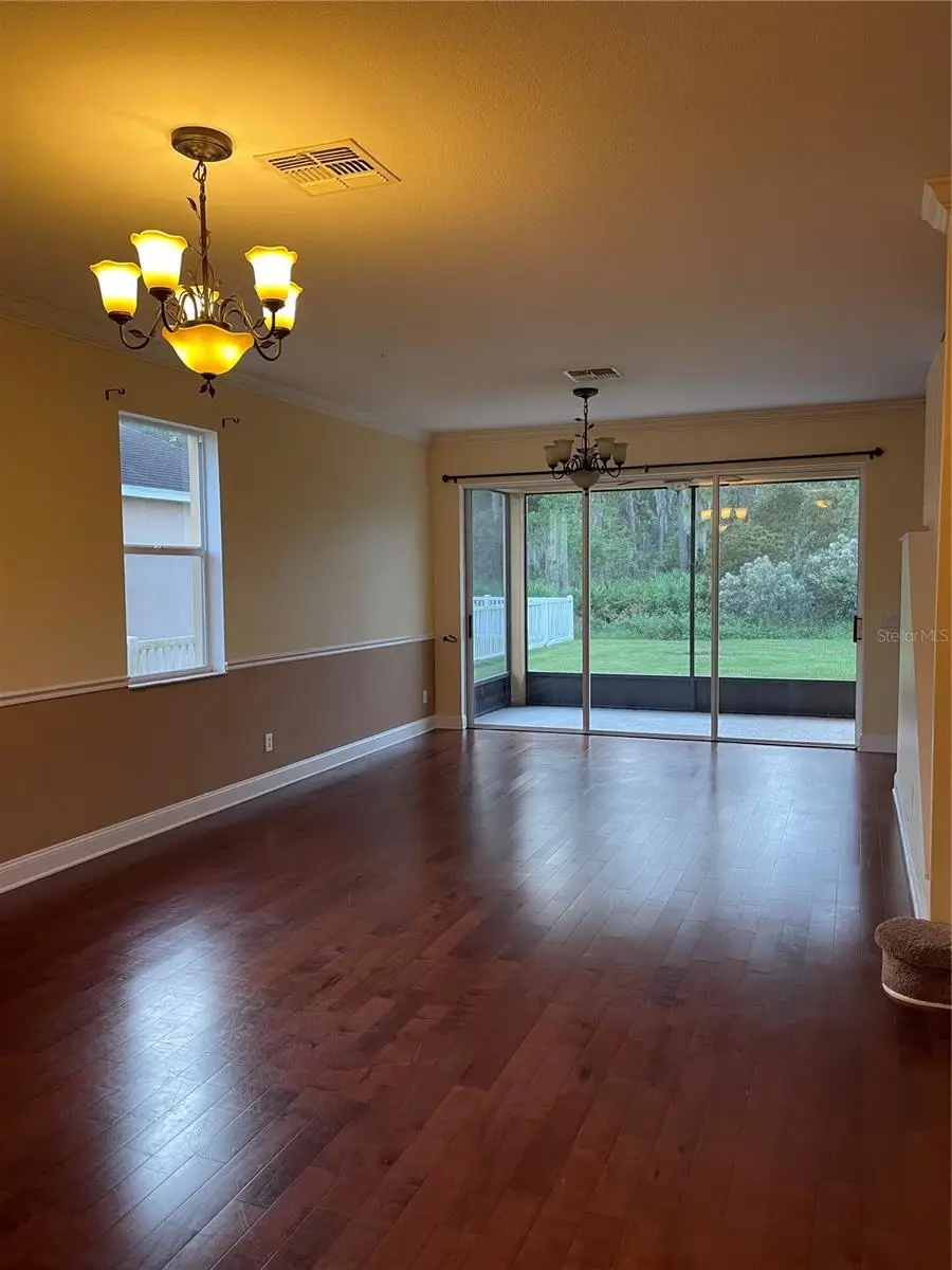 20117 Bay Cedar Avenue, Tampa, FL 33647 - Image #2