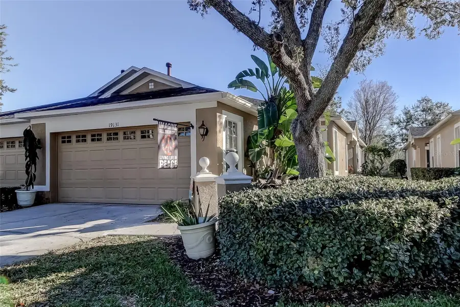 19131 Lake Audubon Drive, Tampa, FL 33647 - Image #2