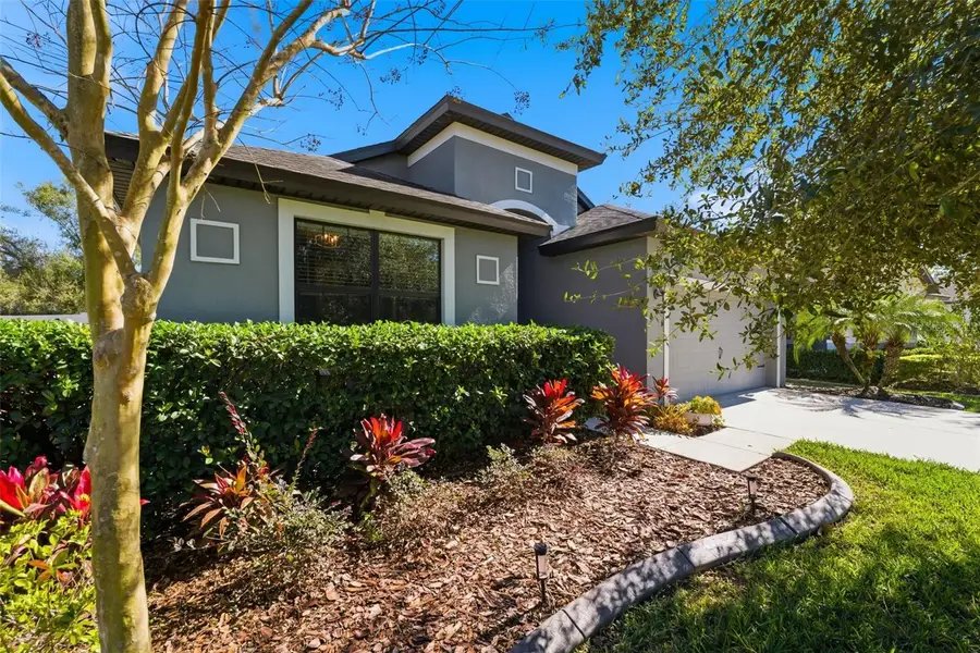 8328 Auburn Rise Court, Land O Lakes, FL 34638 - Image #2