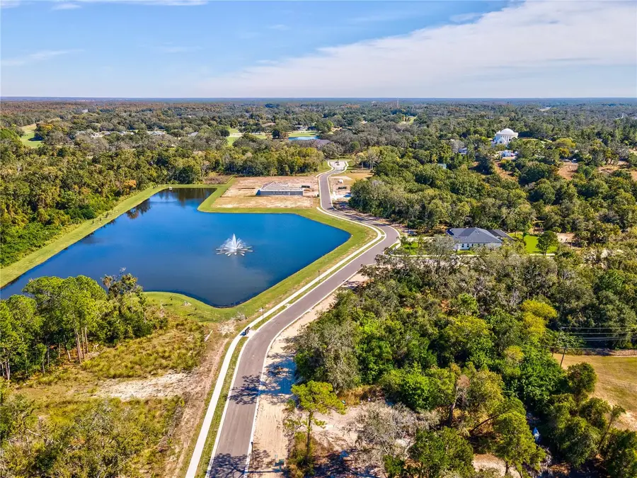 709 Estates Boulevard, Tarpon Springs, FL 34688 - Image #2