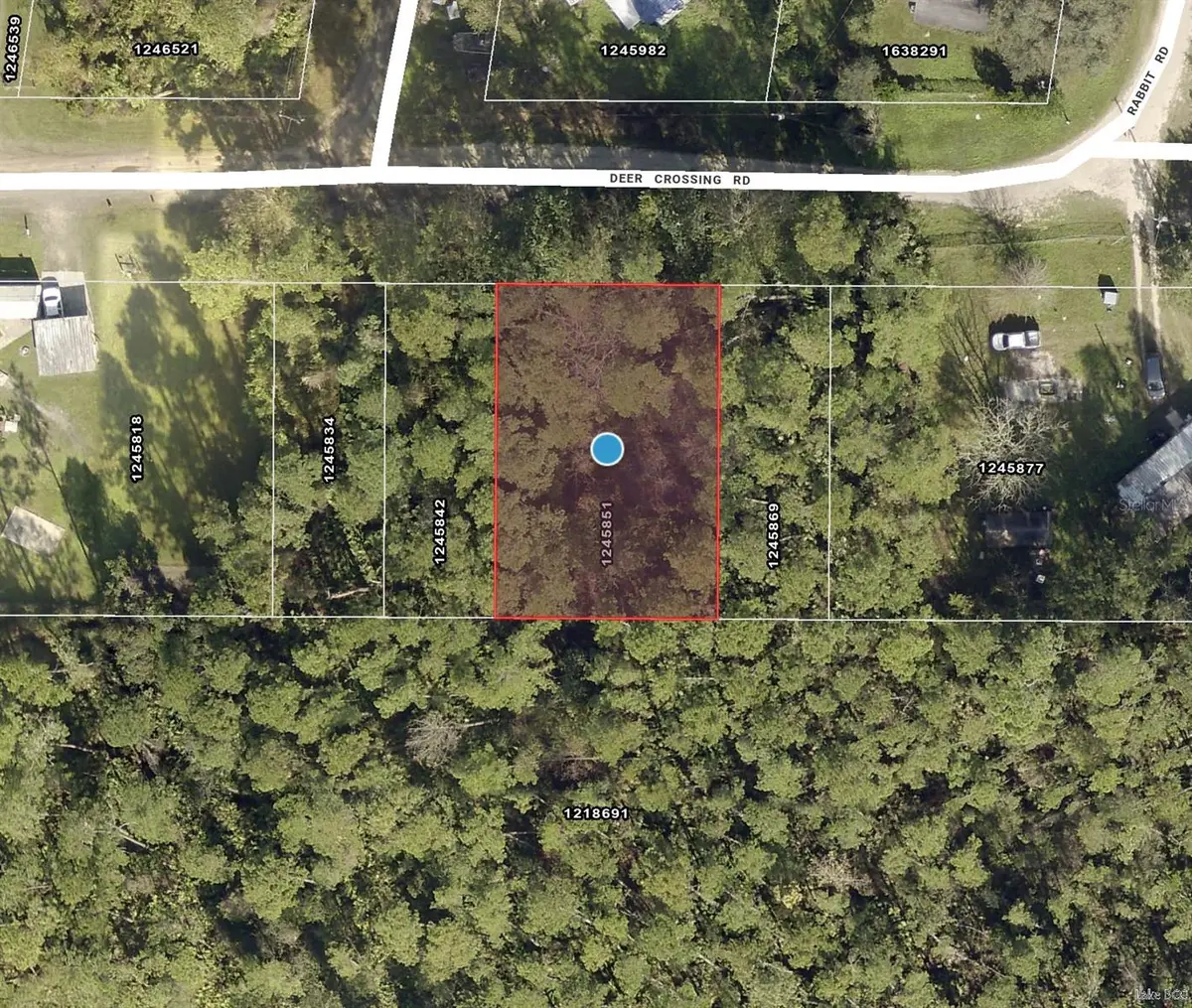 TBD Deer Crossing Road, Altoona, FL 32702 - Image #1