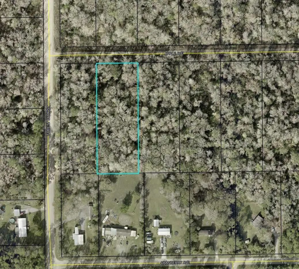 3909 Apple Avenue, Bunnell, FL 32110 - Image #1