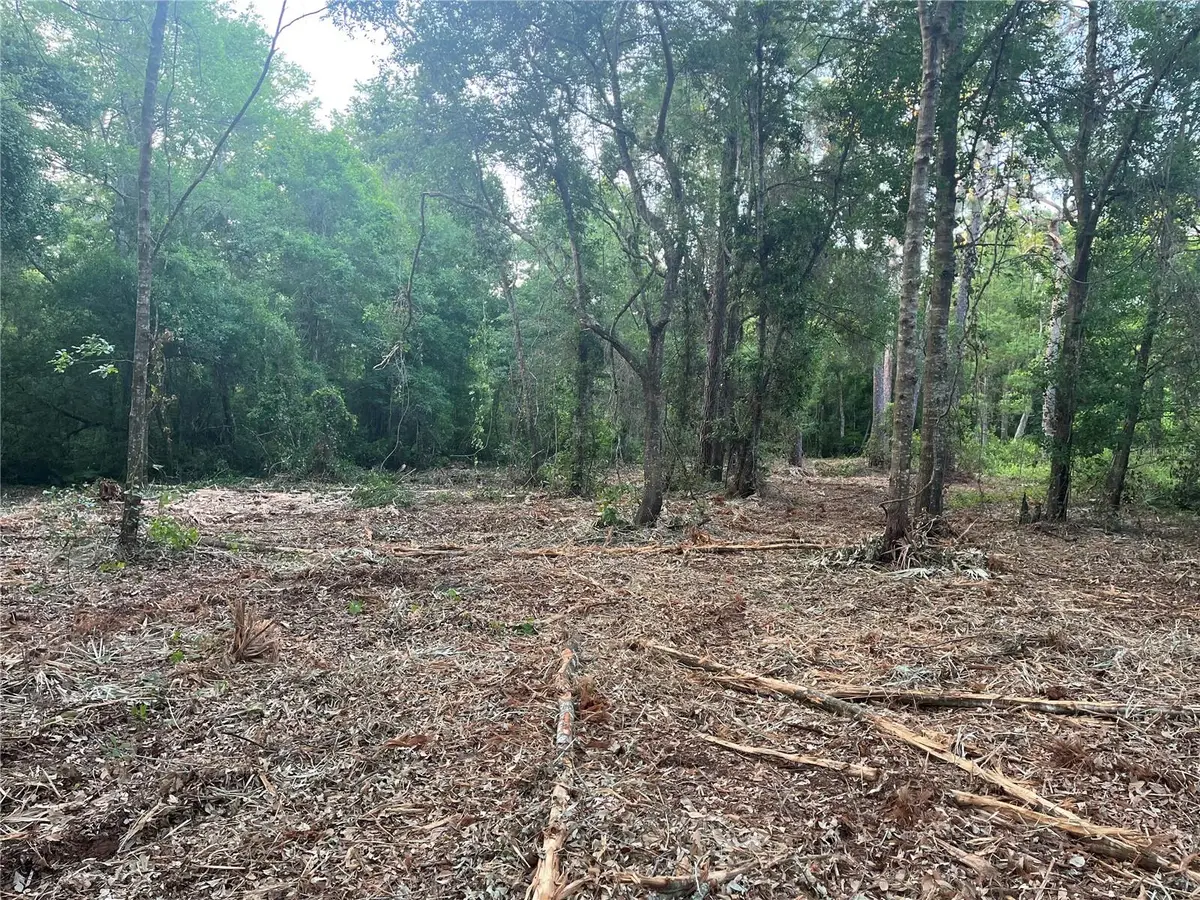 10117 Orland Street, New Port Richey, FL 34654 - Image #1