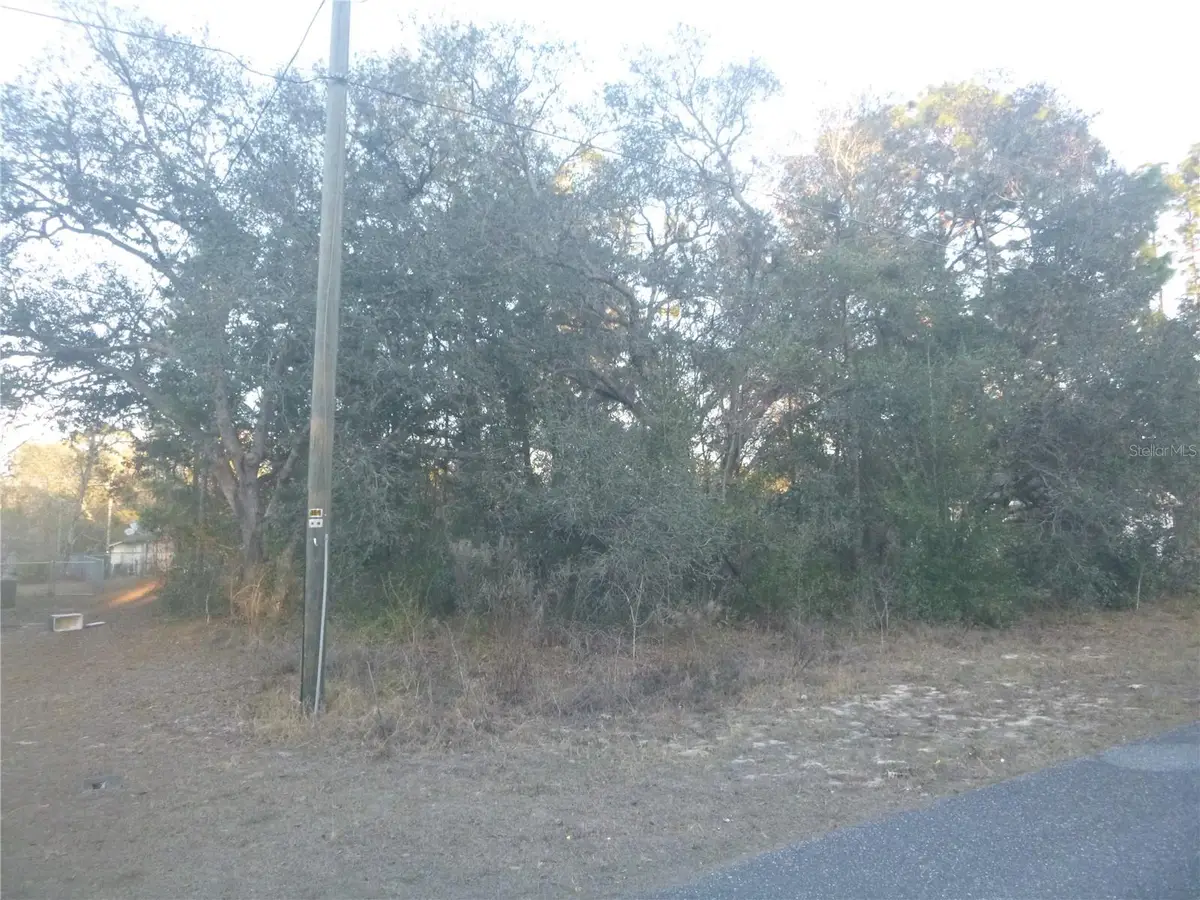 8253 N Krouse Way, Dunnellon, FL 34433 - Image #1