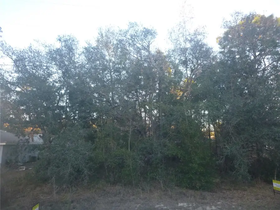 8253 N Krouse Way, Dunnellon, FL 34433 - Image #3