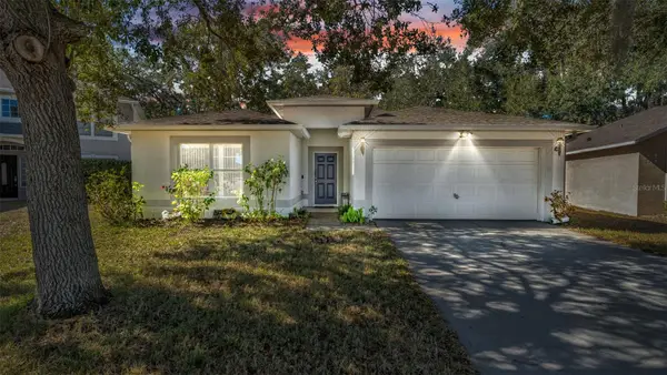 30244 Birdhouse Drive, WESLEY CHAPEL, FL 33545