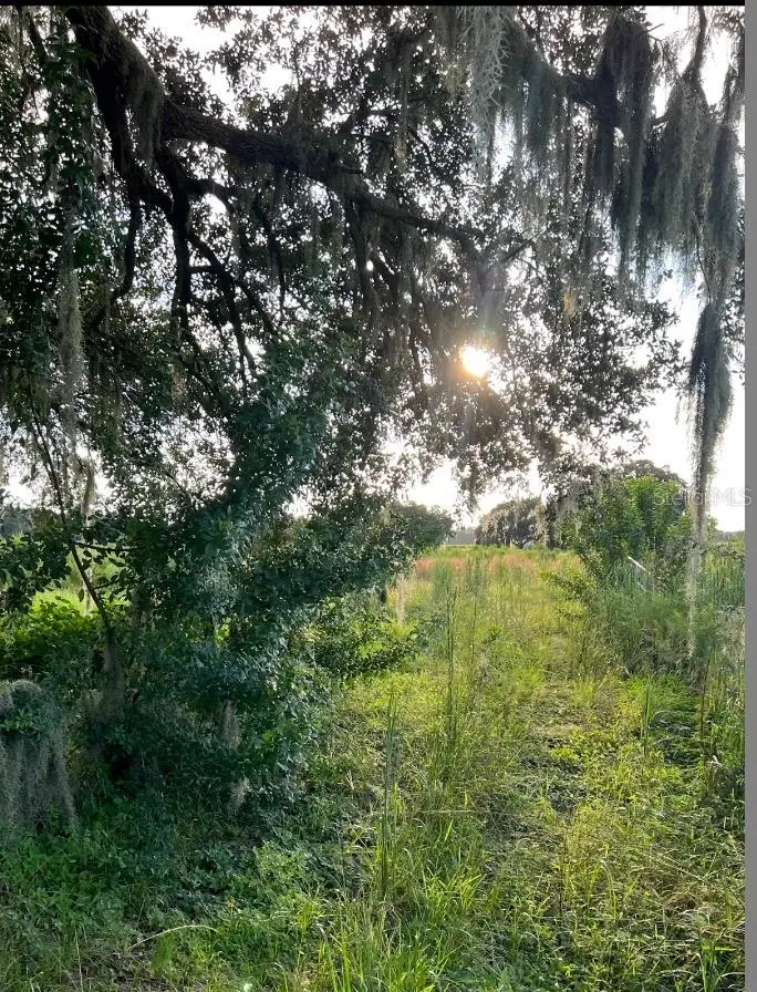 13029 S County Road 39, Lithia, FL 33547 - Image #2