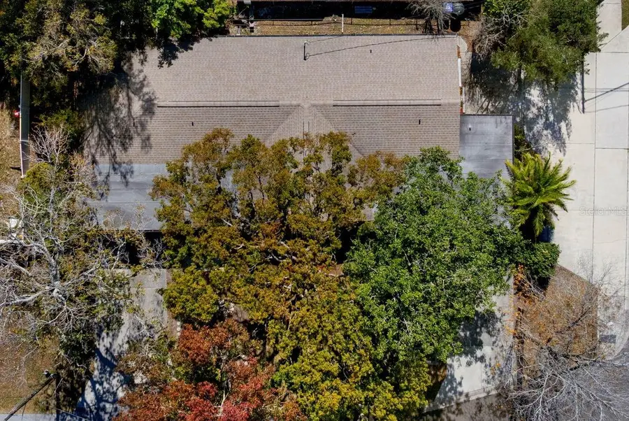 1301 N Lotus Drive, Dunedin, FL 34698 - Image #3