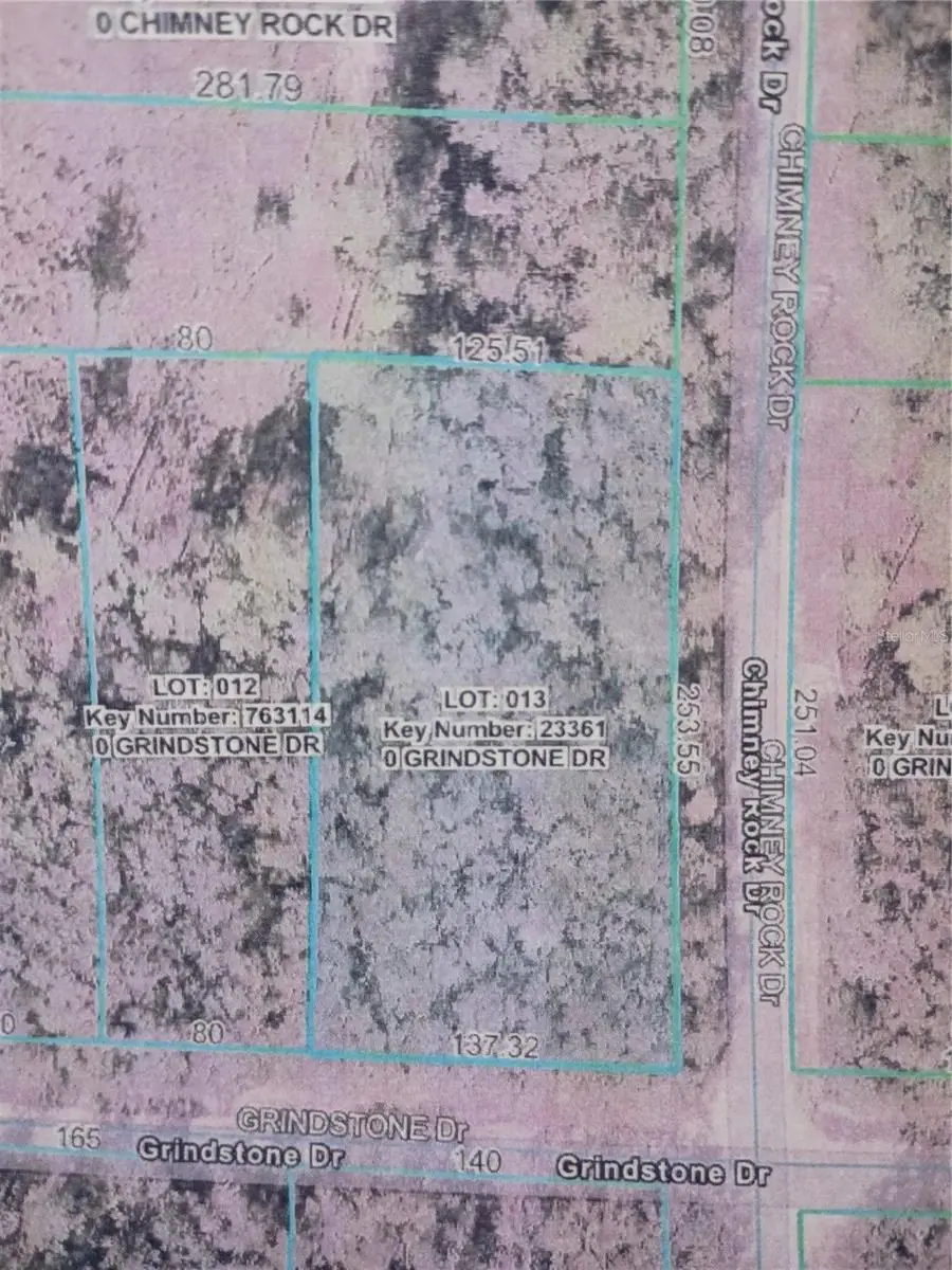 Grindstone Drive, Webster, FL 33597 - Image #1