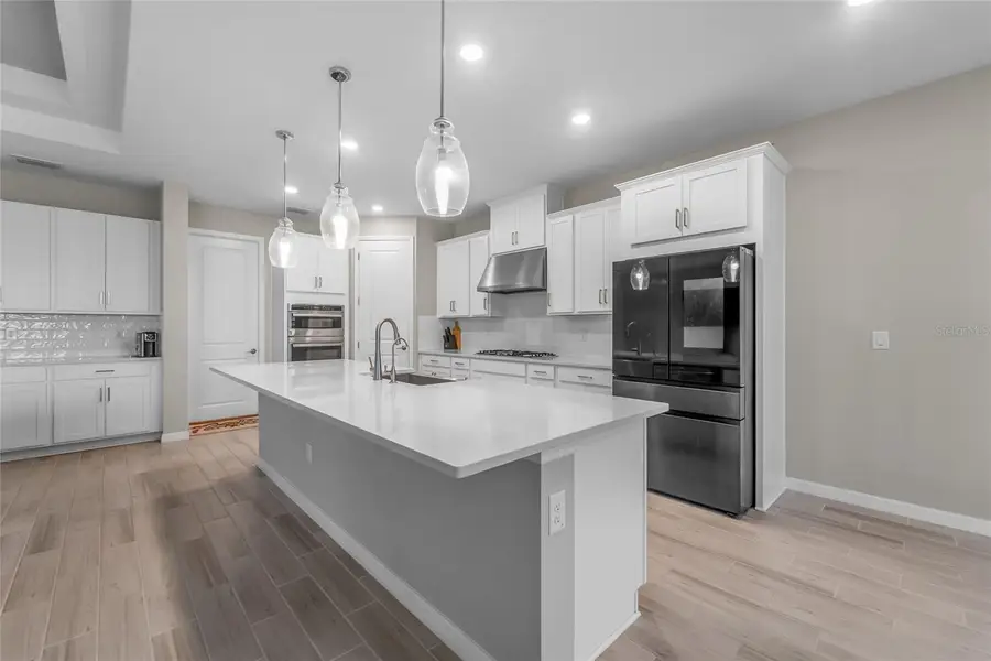 2347 Overfalls Place, Wesley Chapel, FL 33543 - #3