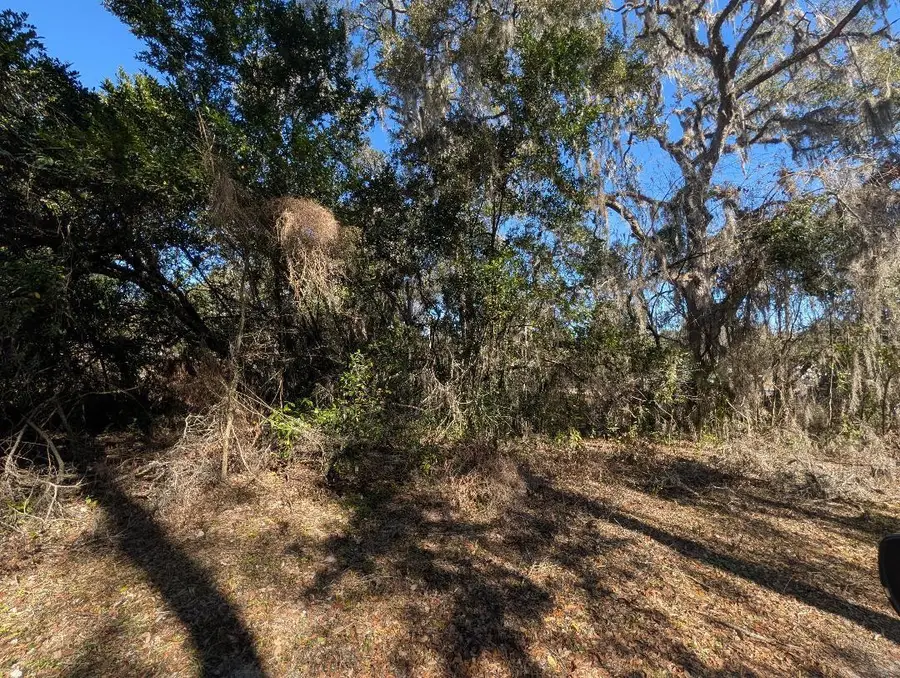 0 Gladiola Court, Dade City, FL 33523 - #3