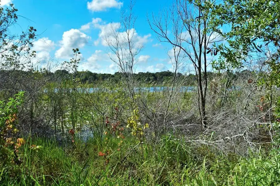 5513 674 Highway, Wimauma, FL 33598 - Image #2