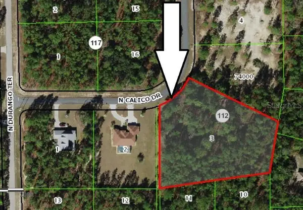 5677 N Calico Drive, BEVERLY HILLS, FL 34465