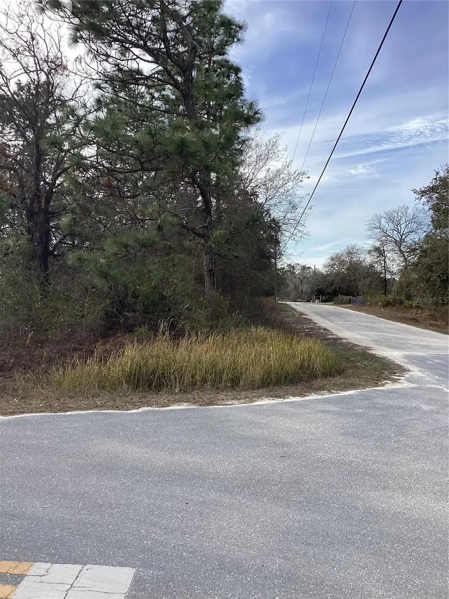 12449 Indigo Bunting, Weeki Wachee, FL 34614 - Image #2