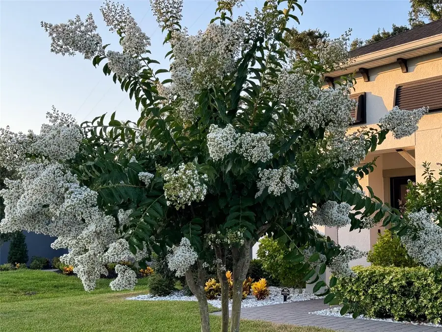 14110 Tomentosa Avenue, Riverview, FL 33569 - Image #2