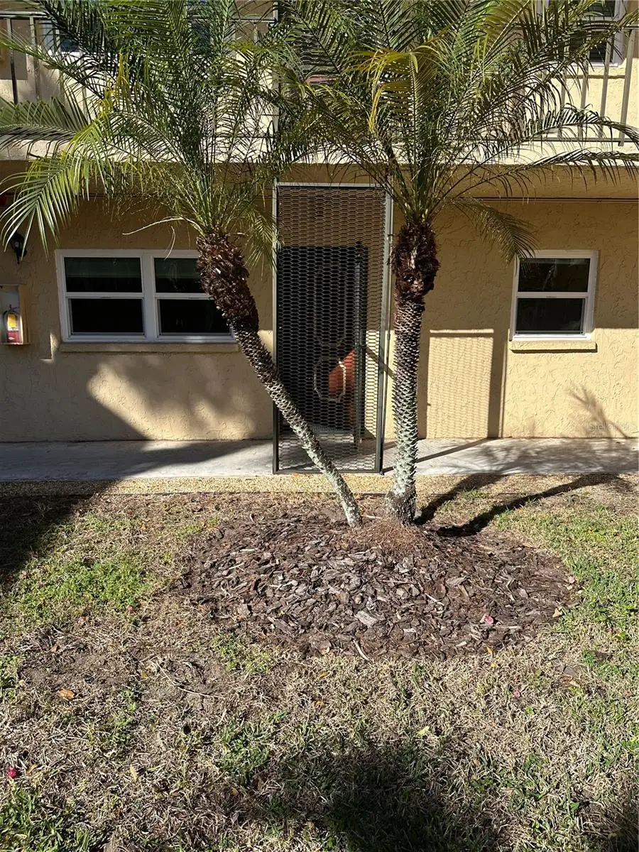 11485 Oakhurst Road #200-114, Largo, FL 33774 - Image #1