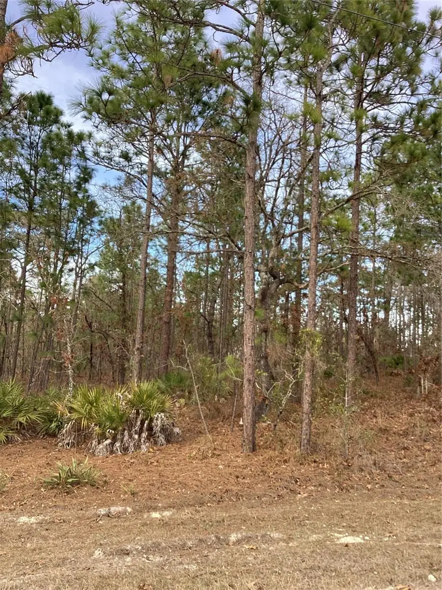 0 Chickadee Road, Weeki Wachee, FL 34614 - Image #3