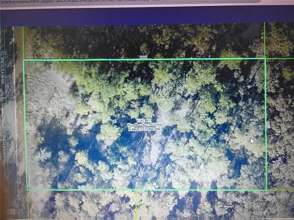 Wheystone Drive, WEBSTER, FL 33597