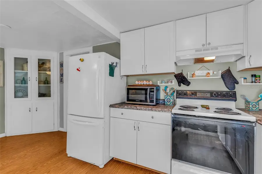 11408 Huggins Street, Leesburg, FL 34788 - Image #2